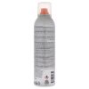 Thermal Flat Iron Spray by Rusk for Unisex - 8.8 oz Hair Spray